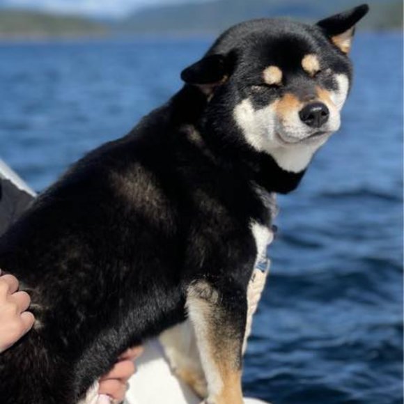 🎀 Welcome to my closet! 🎀 - Picture 2 of 2